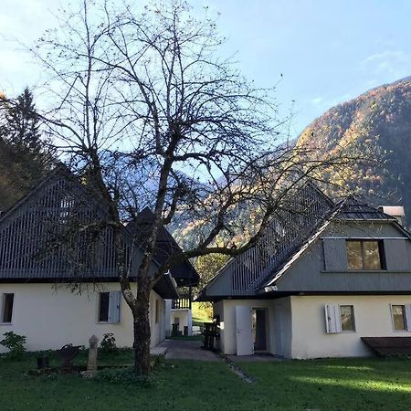 Cozy Cottage In The Heart Of The Triglav National Park Soča Екстериор снимка