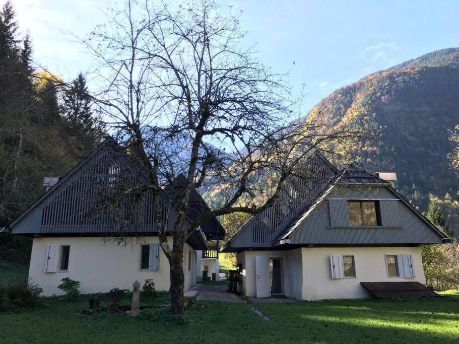 Cozy Cottage In The Heart Of The Triglav National Park Soča Екстериор снимка