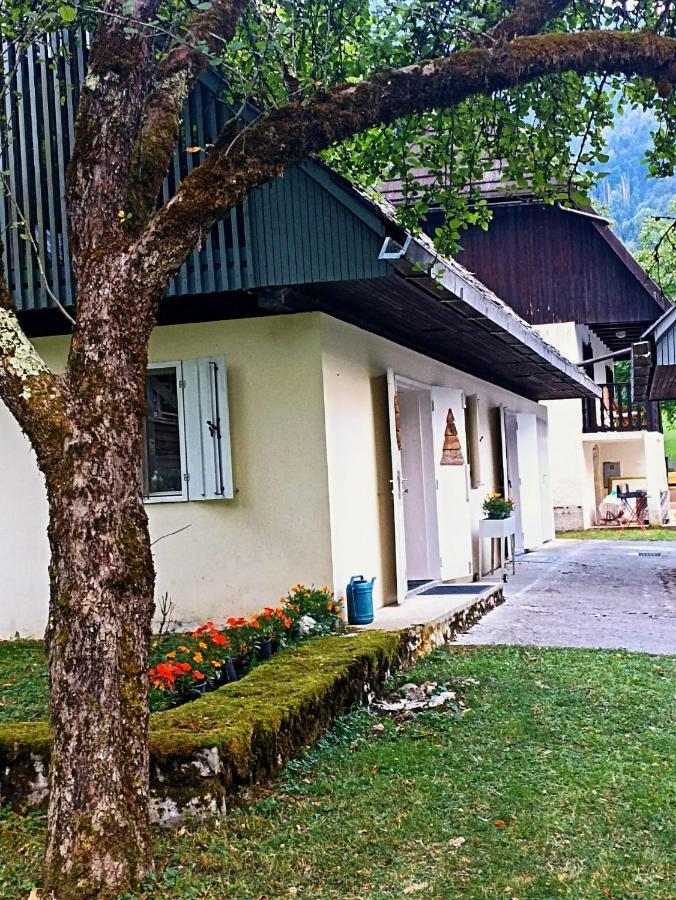 Cozy Cottage In The Heart Of The Triglav National Park Soča Екстериор снимка