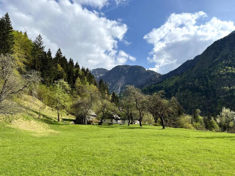 Cozy Cottage In The Heart Of The Triglav National Park Soča Екстериор снимка