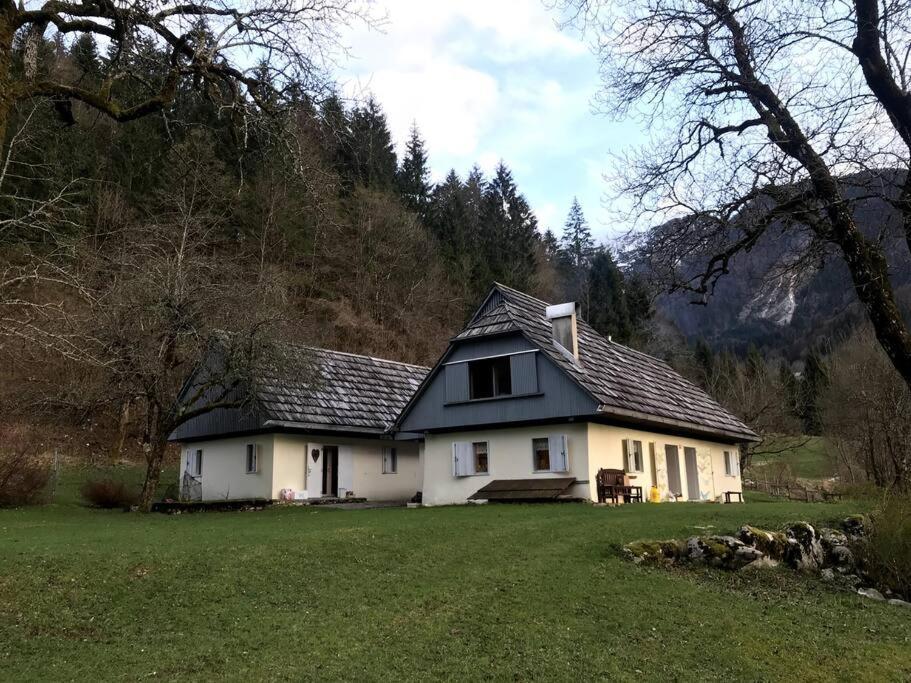 Cozy Cottage In The Heart Of The Triglav National Park Soča Екстериор снимка