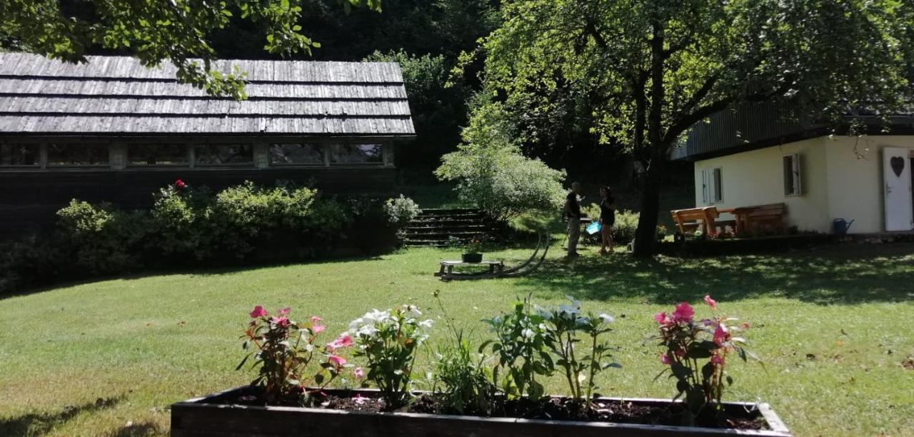 Cozy Cottage In The Heart Of The Triglav National Park Soča Екстериор снимка