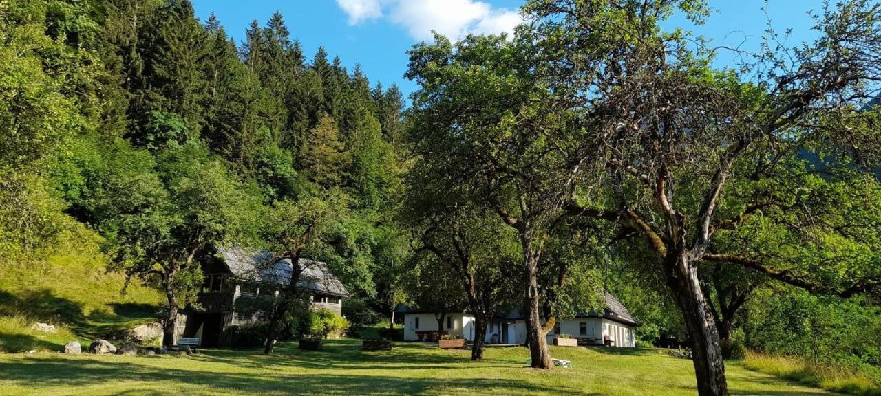 Cozy Cottage In The Heart Of The Triglav National Park Soča Екстериор снимка
