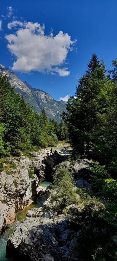 Cozy Cottage In The Heart Of The Triglav National Park Soča Екстериор снимка