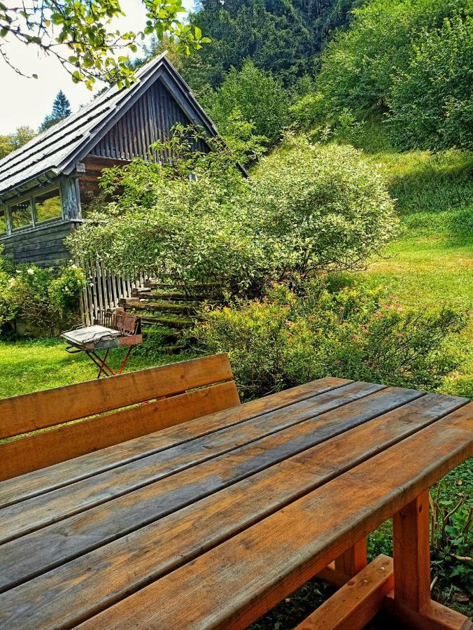 Cozy Cottage In The Heart Of The Triglav National Park Soča Екстериор снимка