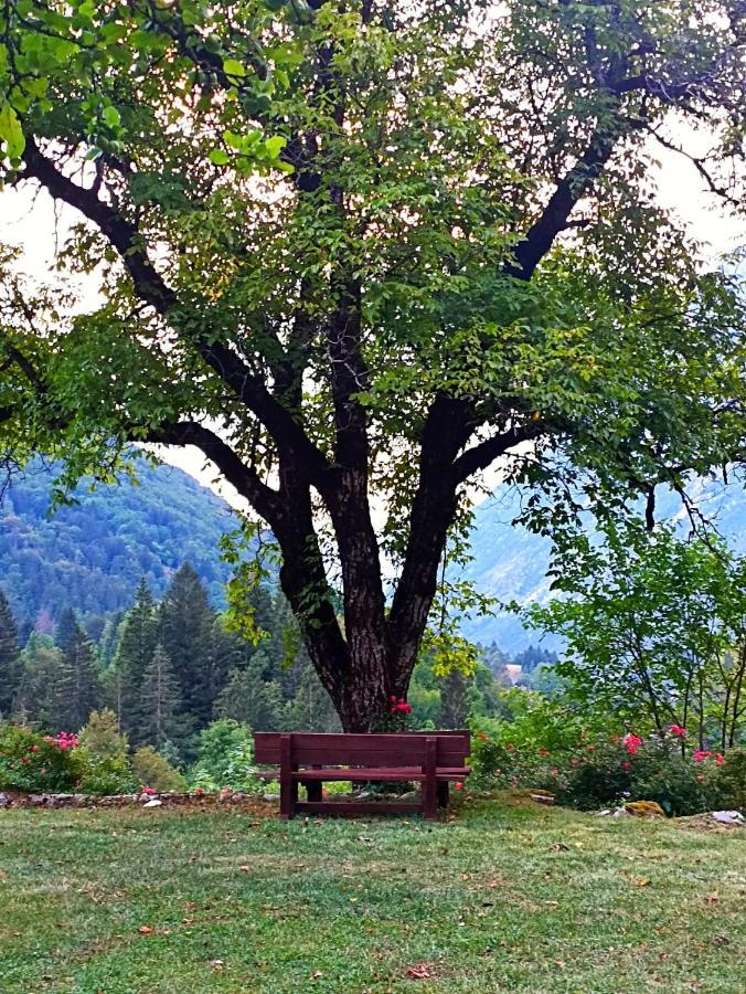 Cozy Cottage In The Heart Of The Triglav National Park Soča Екстериор снимка